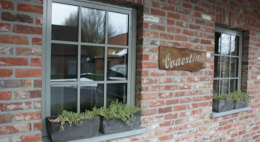 B&B Ovaertine