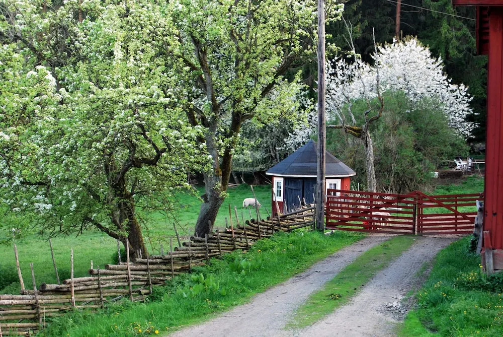 Smultronboda Fårgård
