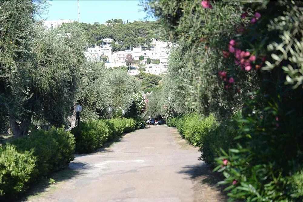 casa degli ulivi