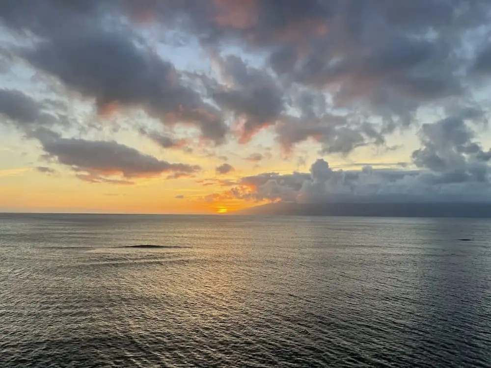 Unforgettable Oceanfront Stay Nature Luxury Tranquility