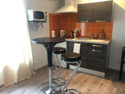 Studio Renove Dans Le Centre Ville