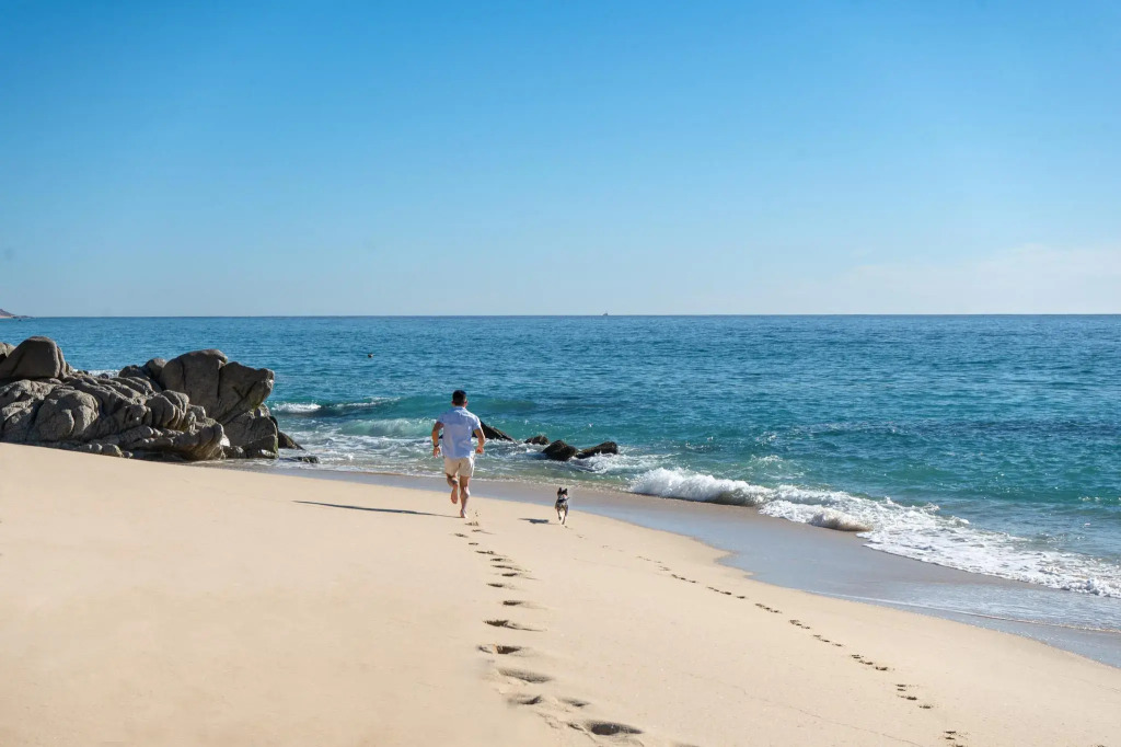 Mar del Cabo By Velas Resorts Adults Only