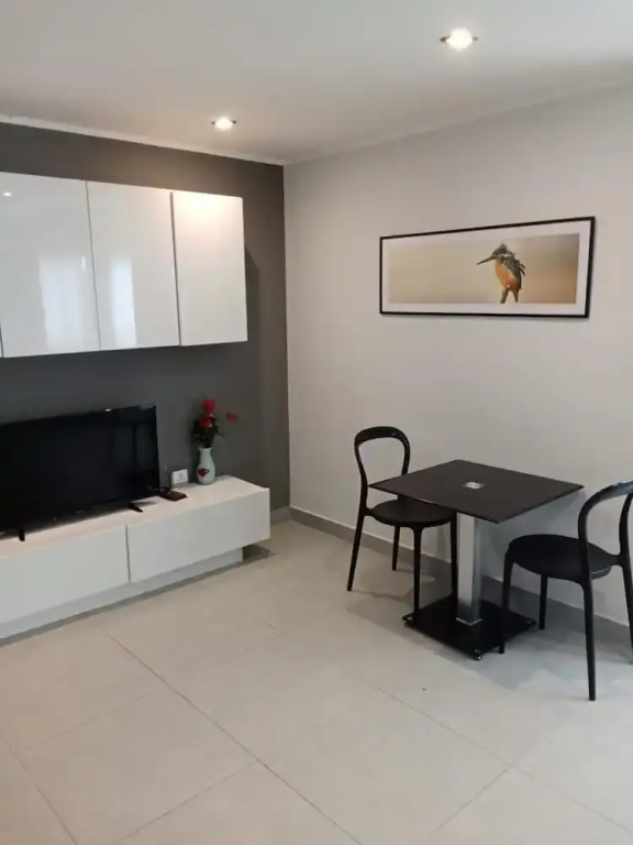 Large Corner Apt-1BR T1 207