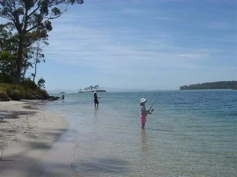 Essentially Tas - Southport