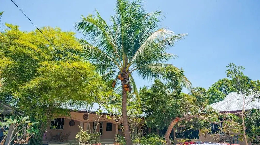 ZEN Home Villa Tepi Bendang