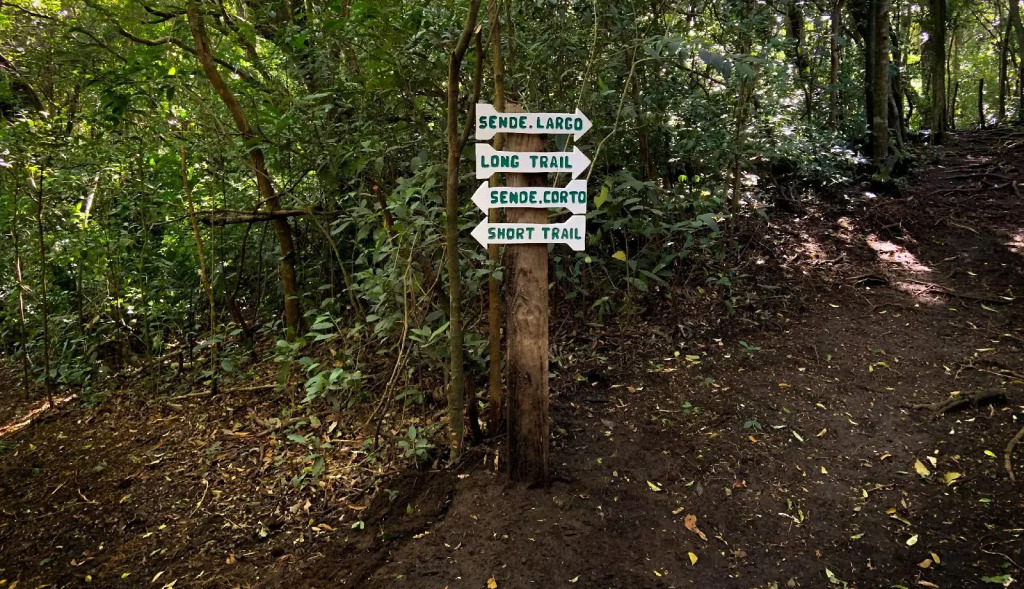 Manakin Lodge, Monteverde