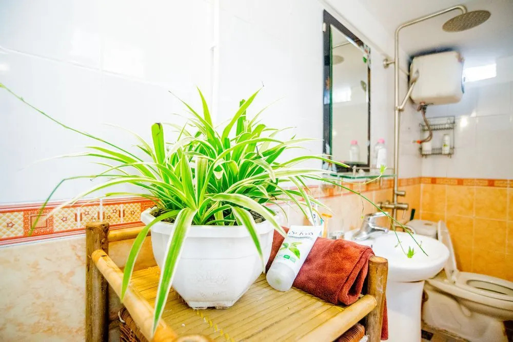 Homestay in Centre Hanoi Hoan Kiem