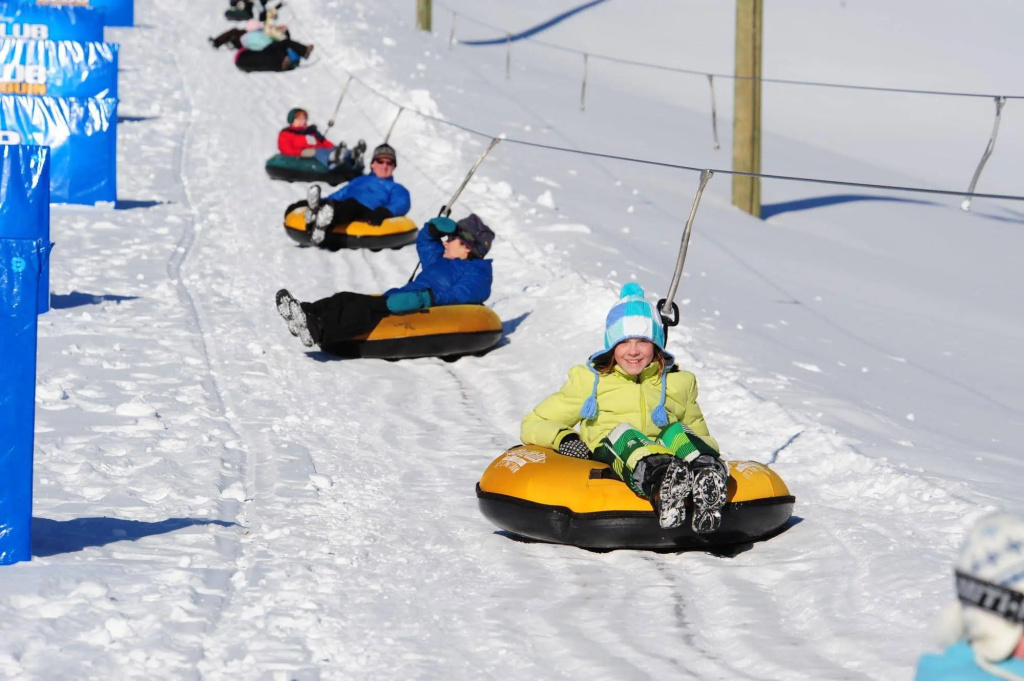 Vacation Homes by Big White Accomm.