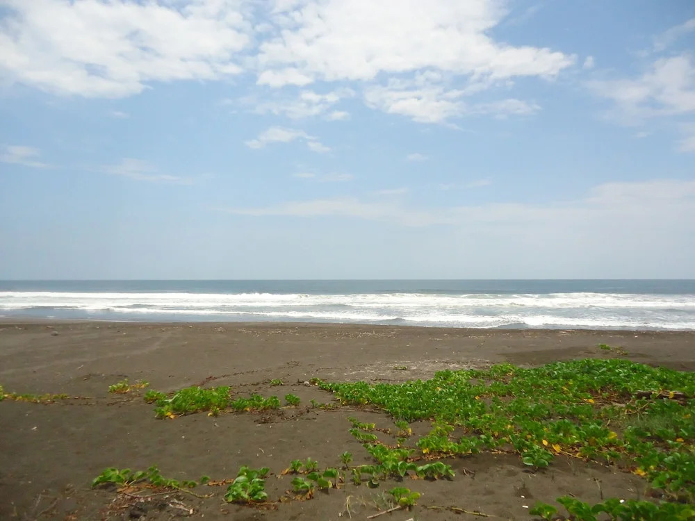 Cuyutlan Holistico