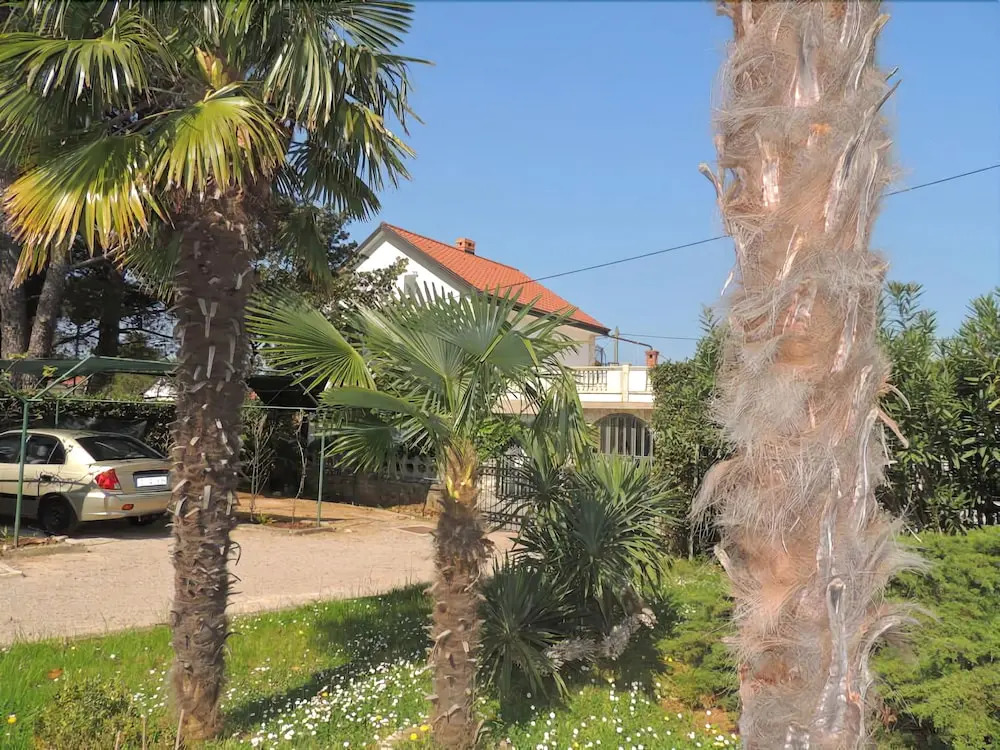 Apartments Mirko