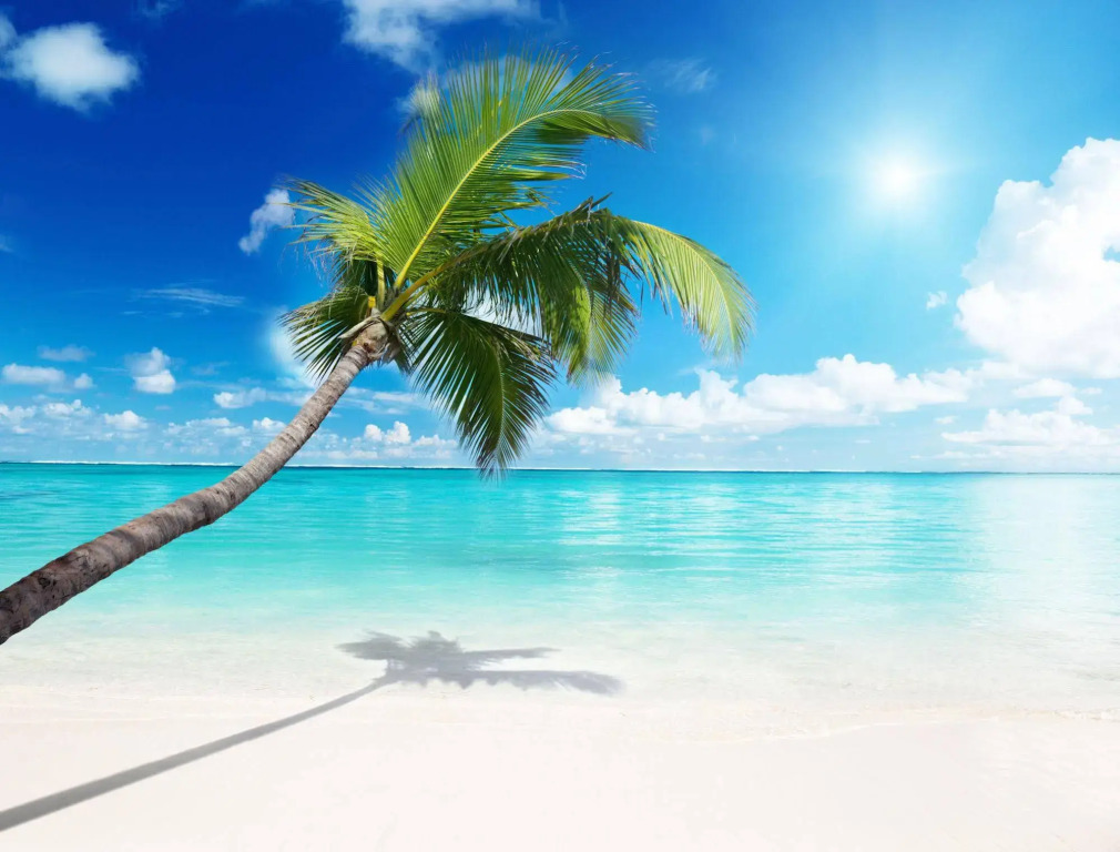 Ti Verger - Tropical Cottages