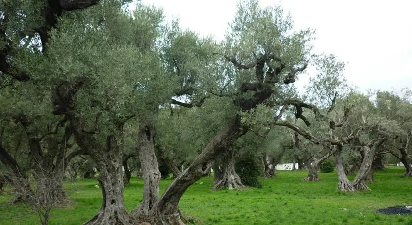 Villa Lou Bancaou