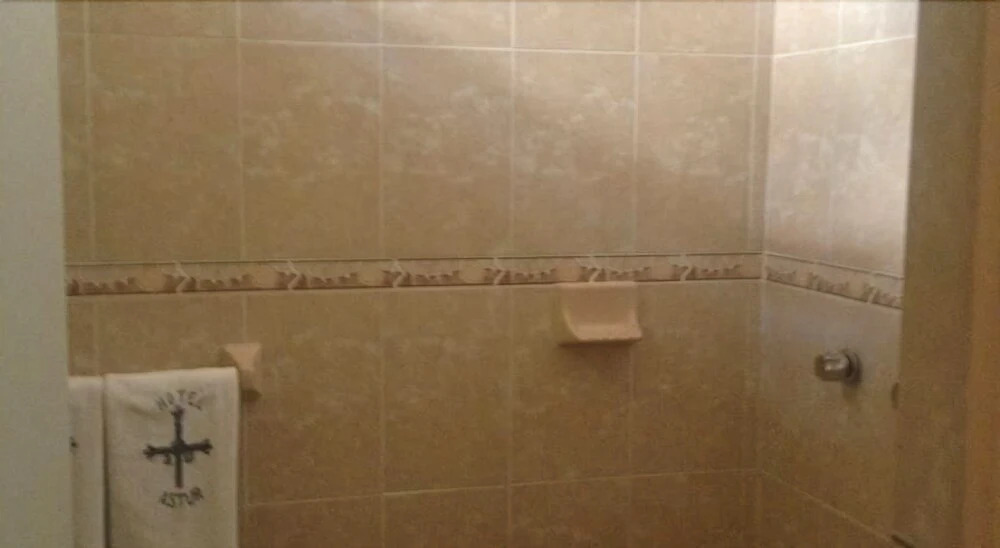 Hotel Astur