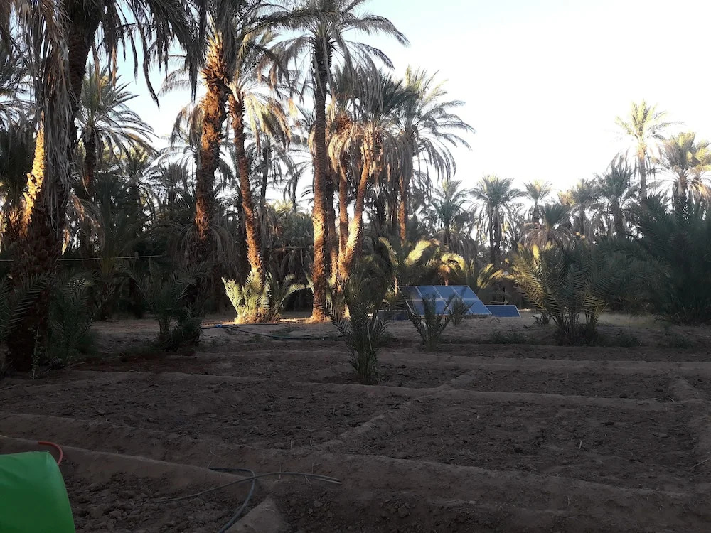 Riad Tagmadart Ferme D'hôte