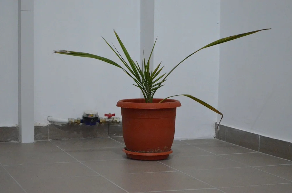 Alexys Residence 6