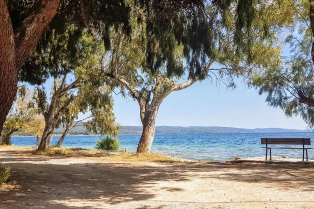 Jasmine studio by the sea