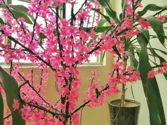 Taixin Hotel