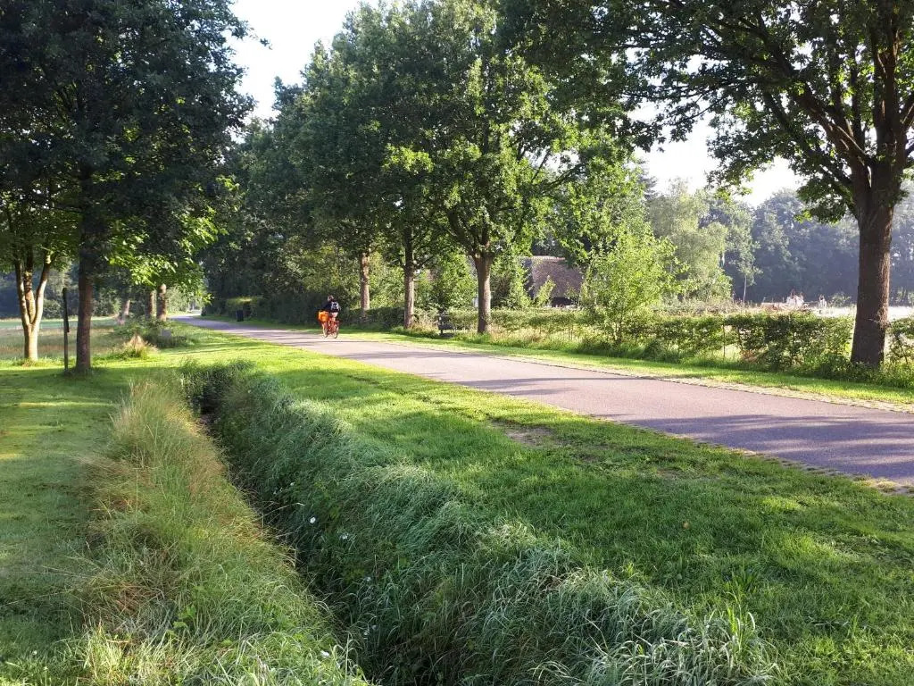 Voorhuis