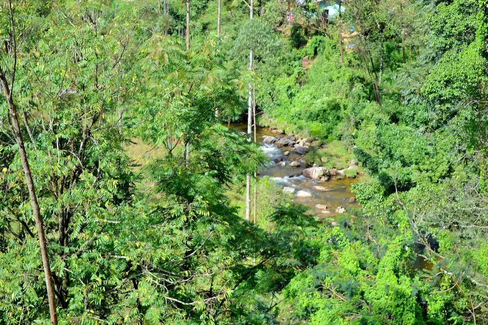 Grand Adam's Peak Cabana Suite