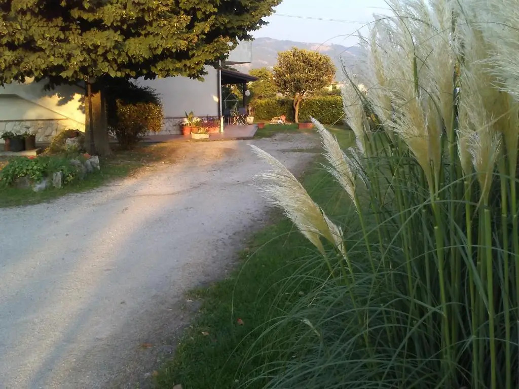 B&B Il Tiglio