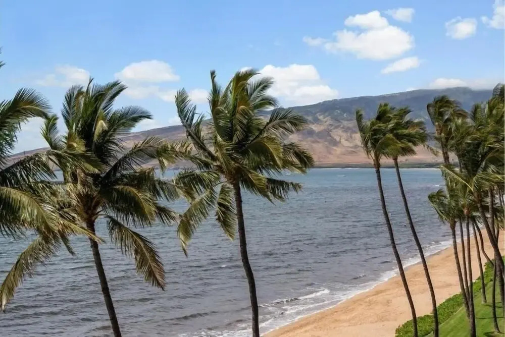 Kihei Beach, #603^ 1 Bedroom Condo by RedAwning