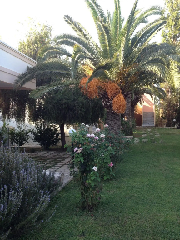 Kyriaki Hotel