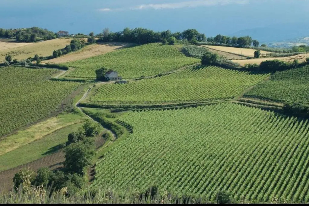 Il Melograno House