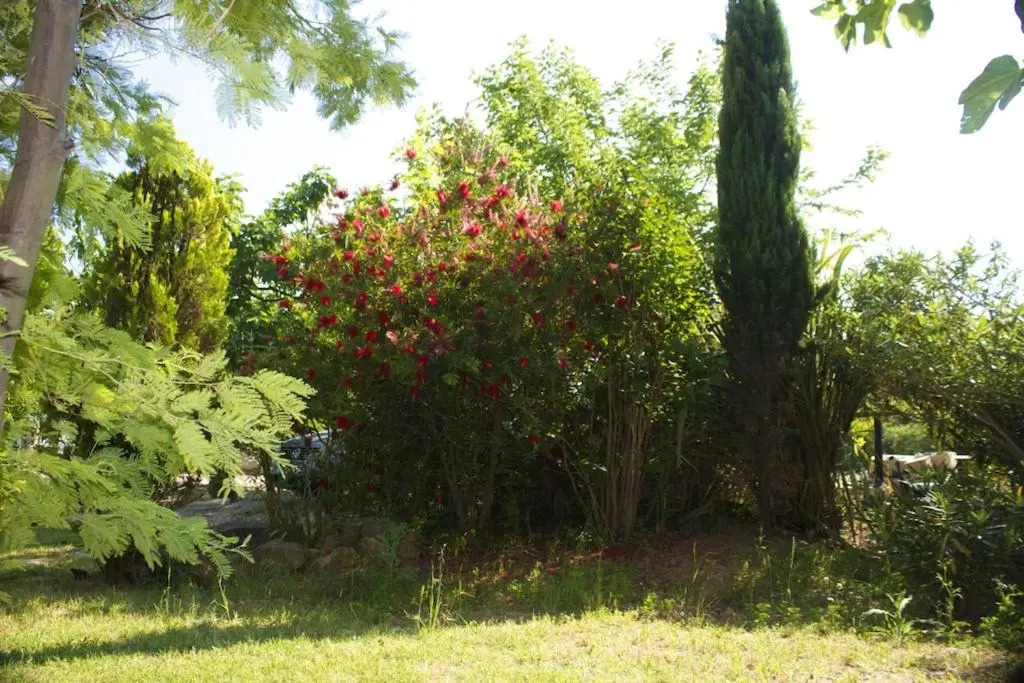 Bungalow de 2 chambres avec jardin clos et wifi a Roquebrune sur Argens