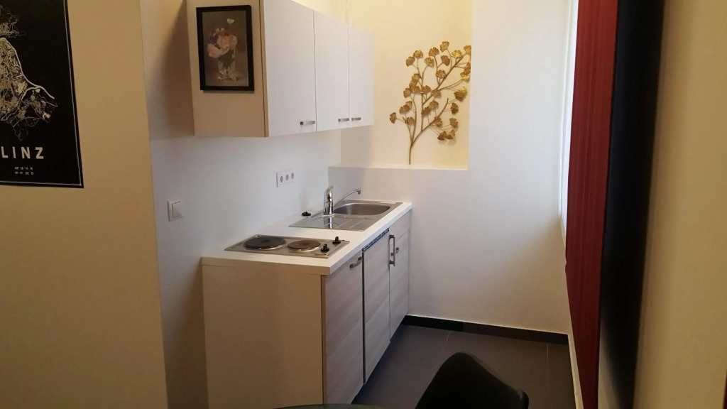 City Center Apartments Linz