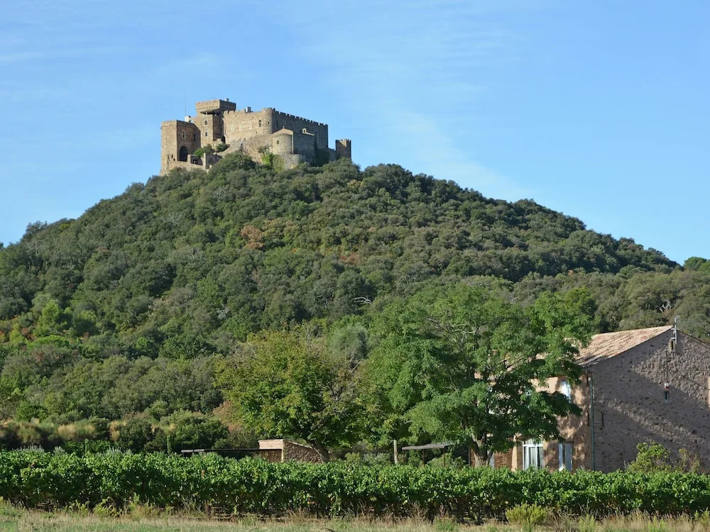 Perfect Detached House in the Vineyards at the Abbey of Fontfroide