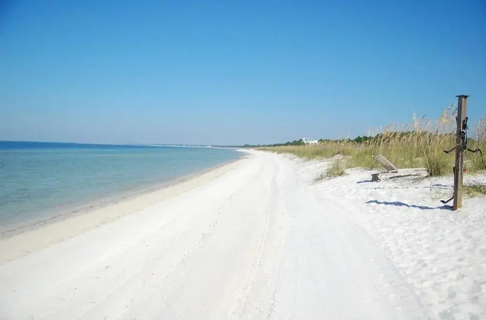 Paradise Found