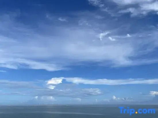 YURI Seaview Apartment