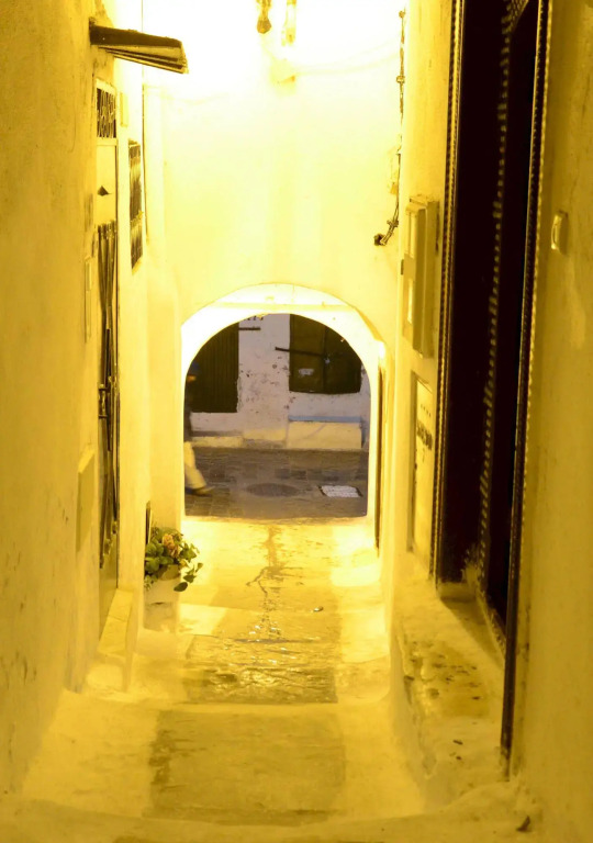 Dar Rehla