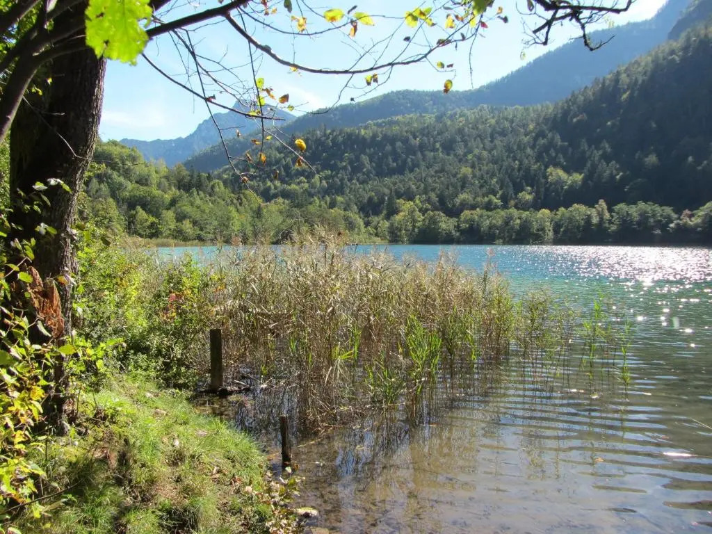 Hubertus am Thumsee - Ruhe Frühstück und Alpenpanorama