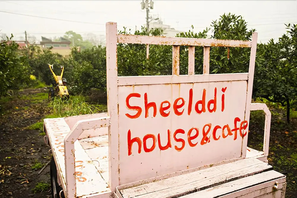 Sheelddi Pension