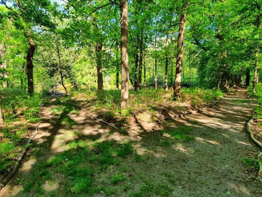 Midden in de Friese bossen op landgoed Princenhof