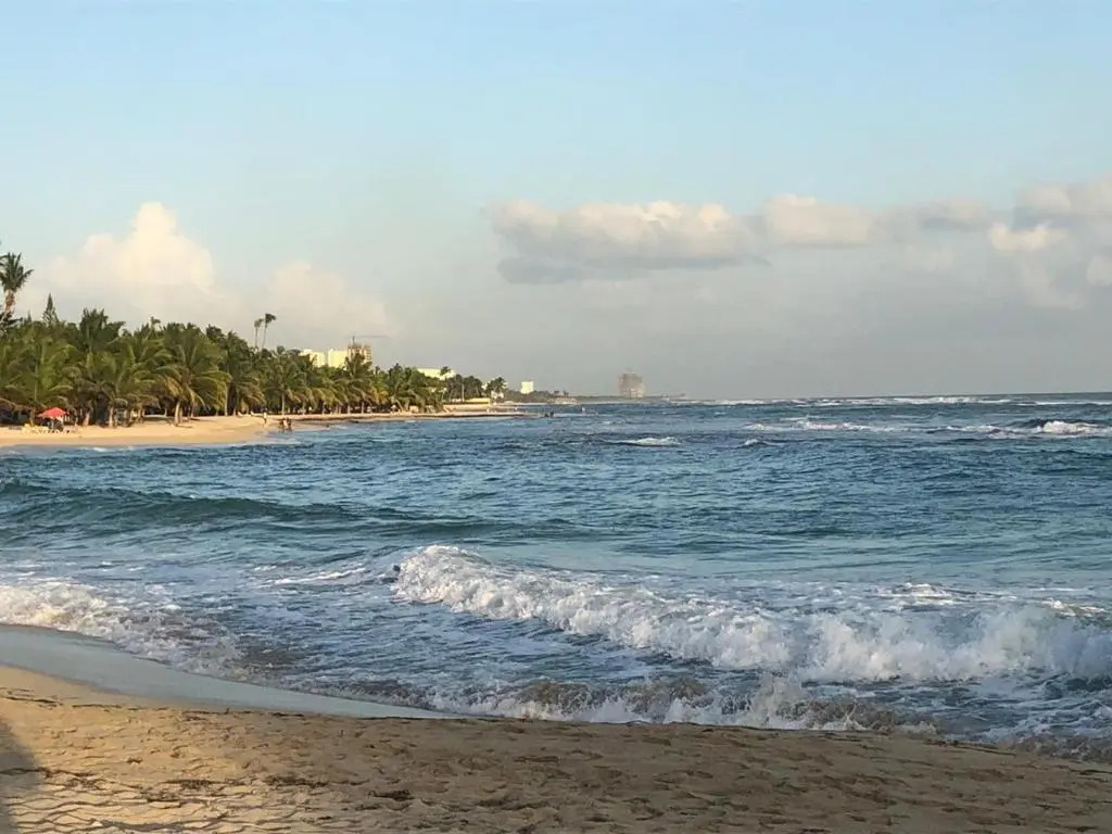 La Gaviota A3