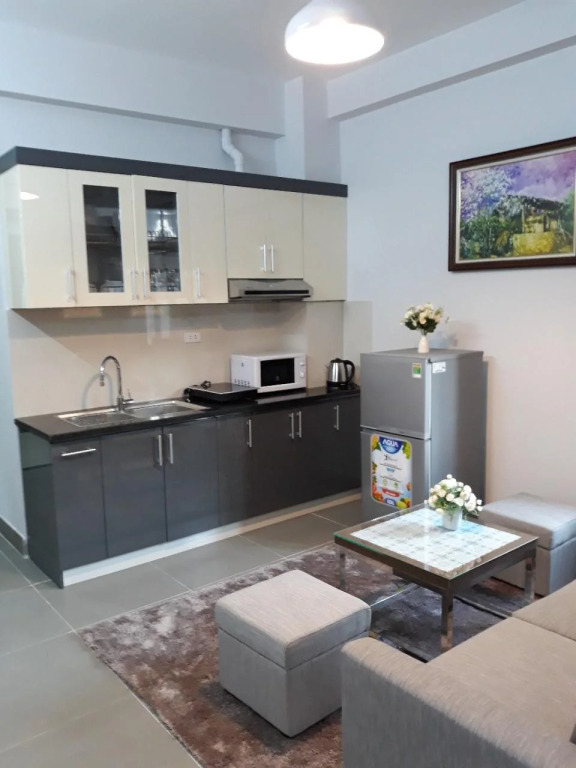 Blue Home Serviced Apartment Hanoi
