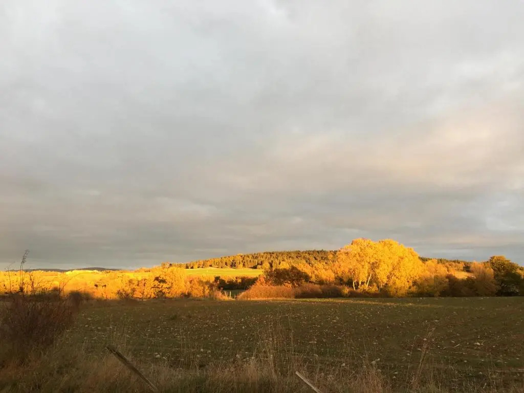 Domaine La Reveille