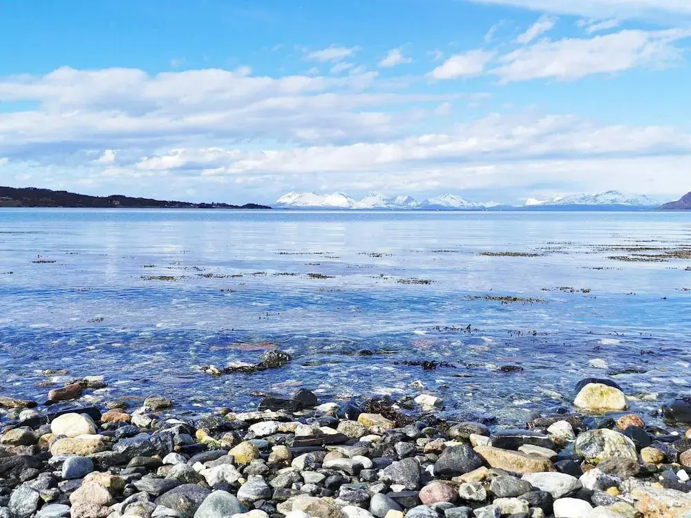 6 person holiday home in Hamnvik