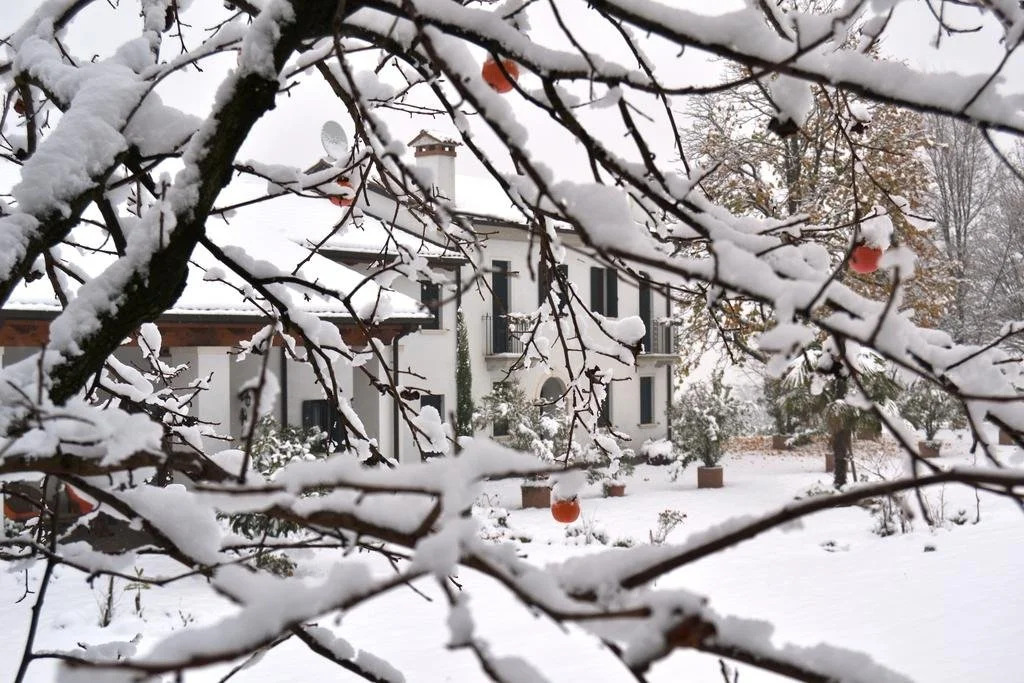 Country House Bucaneve Colli Euganei