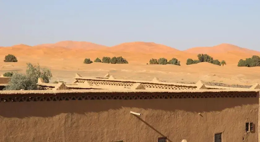 Dans Les Dunes