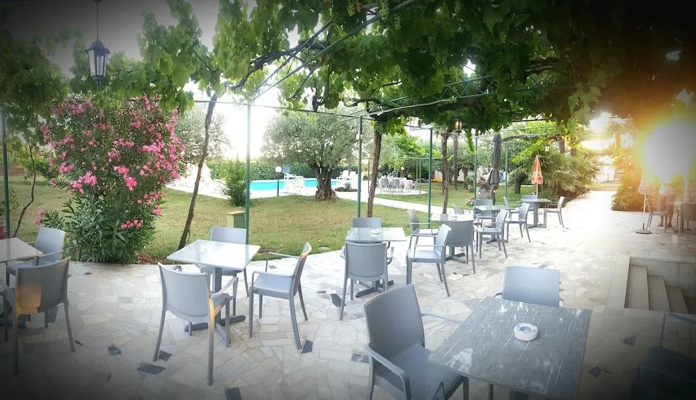 Pansion Margerita