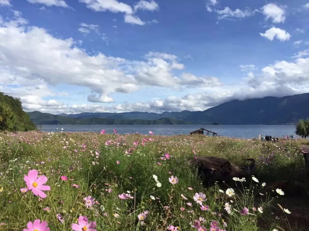 Lugu Lake Angou Boutique Hotel