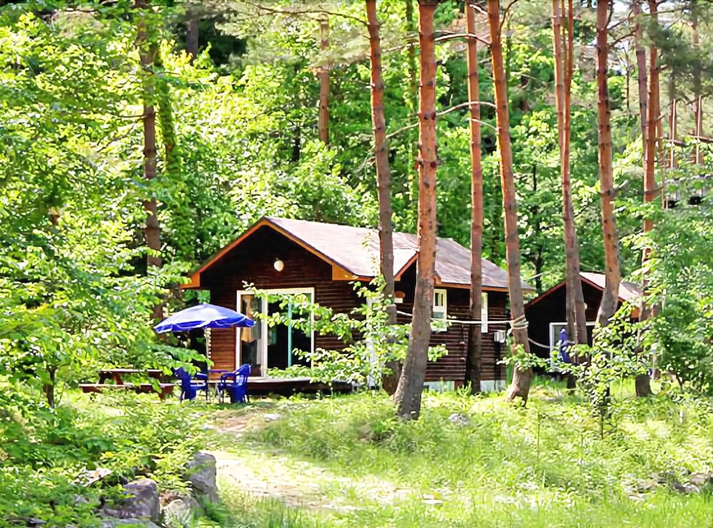 Yangyang Forest Home Pension
