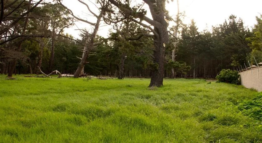 Tokai Forest Guest House