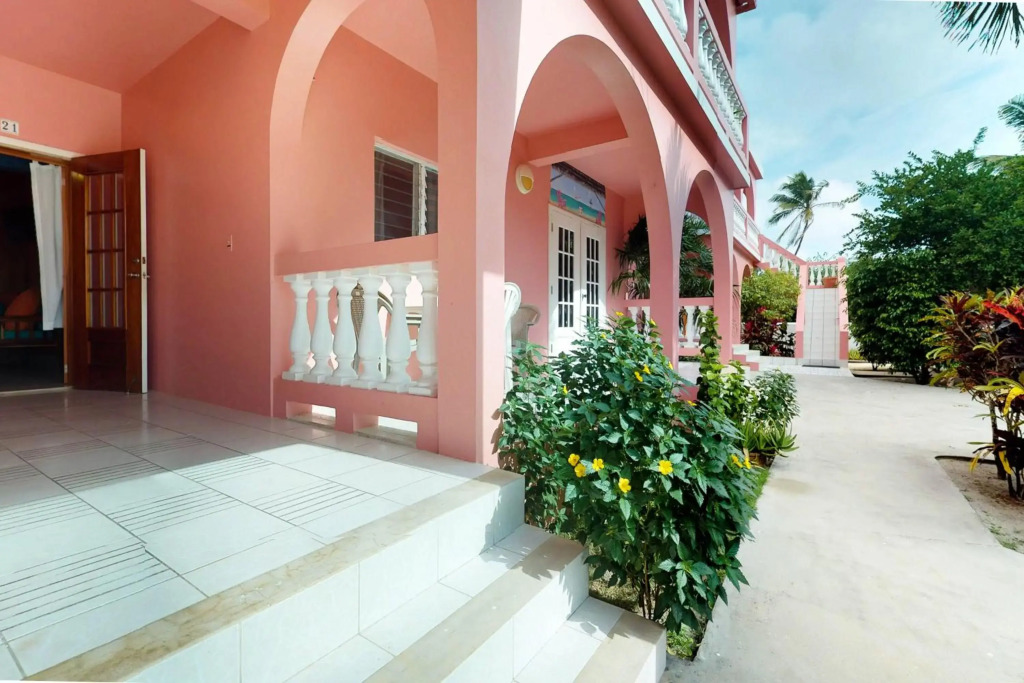 Saponaria 21-22 at Caribe Island Gold Standard Certified