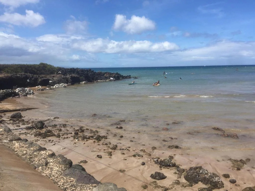 Shores of Maui by Asset Property Management