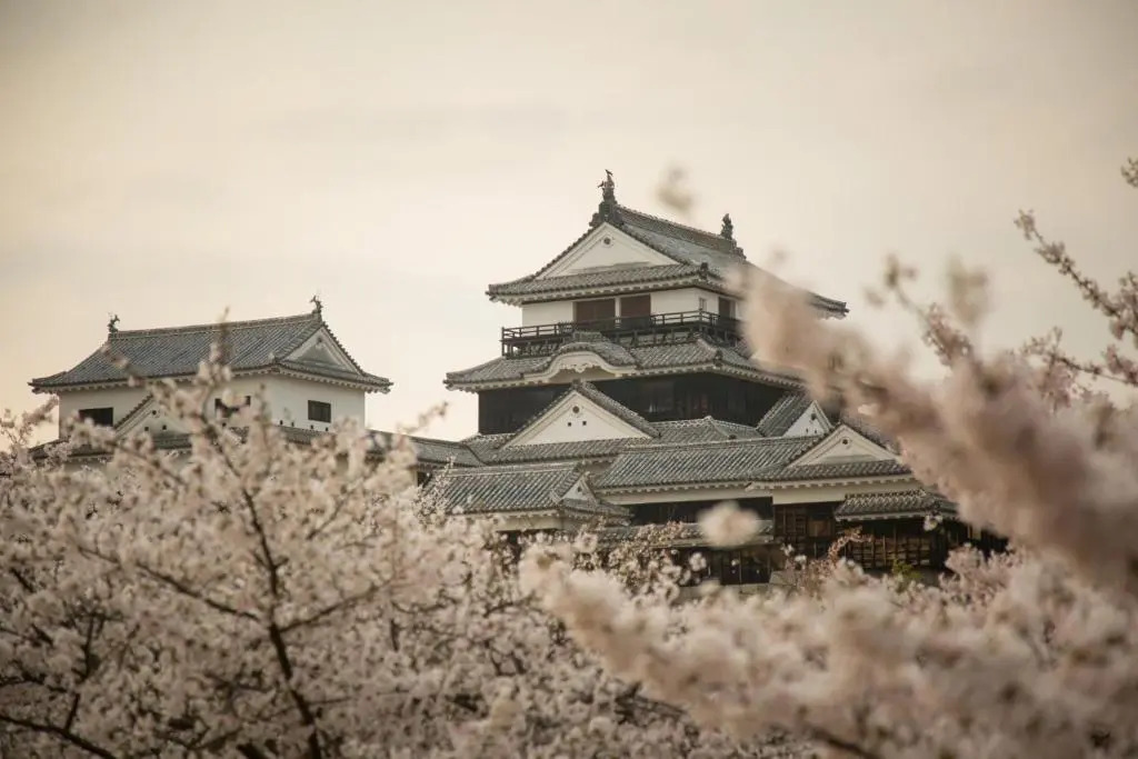 Matsuyama - House / Vacation STAY 57590