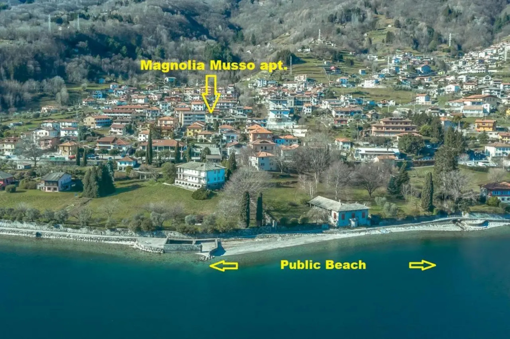 Magnolia Musso